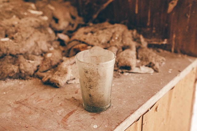 The Muddy Water In The Glass
